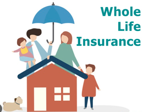 Whole Life Insurance Hacks